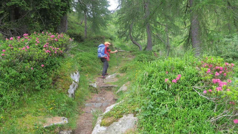 Croce Laghi Valbona007