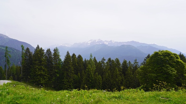 Lago Valsorda03