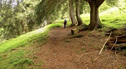 Lago Valsorda11