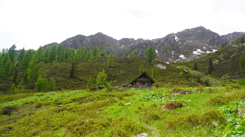 Lago Valsorda20