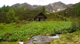 Lago Valsorda21