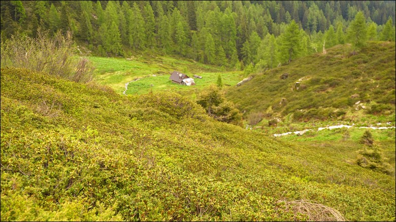 Lago Valsorda52