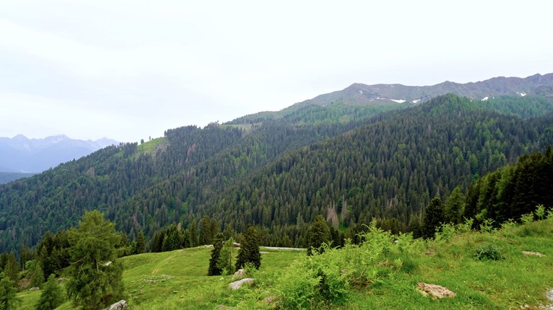 Lago Valsorda60