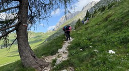 Passo Cima Terrarossa14