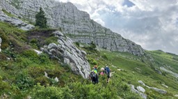 Passo Cima Terrarossa15