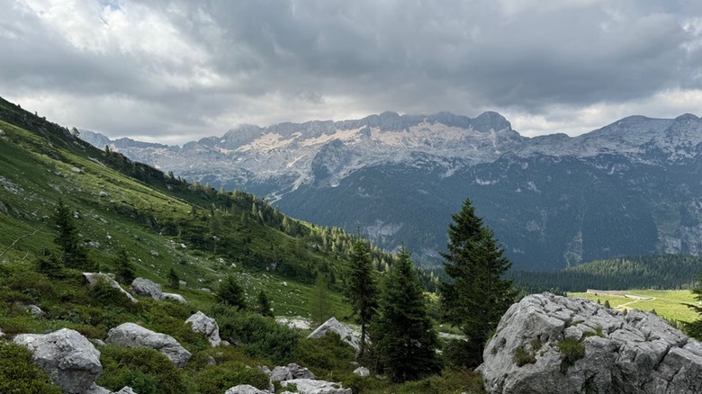 Passo Cima Terrarossa16