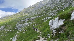 Passo Cima Terrarossa26