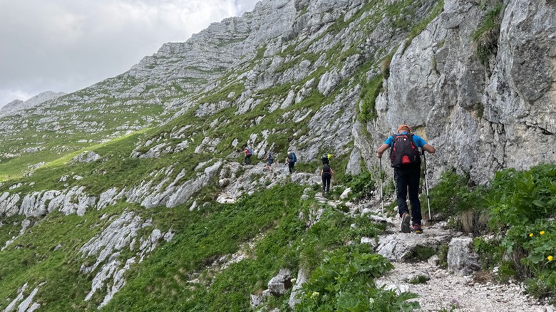 Passo Cima Terrarossa31