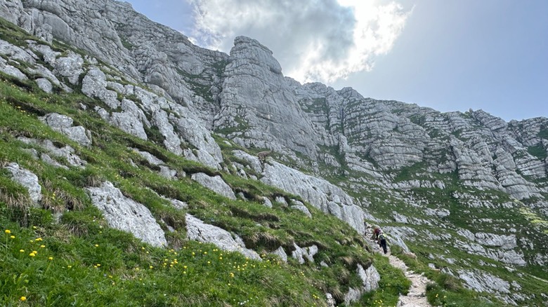 Passo Cima Terrarossa40