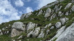 Passo Cima Terrarossa46