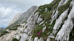 Passo Cima Terrarossa52