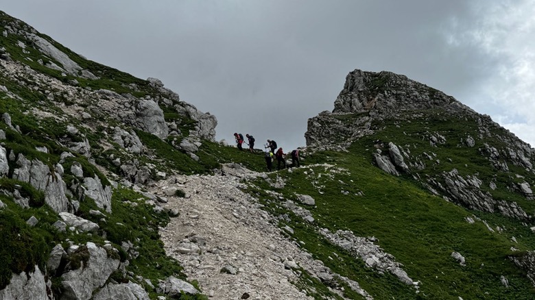 Passo Cima Terrarossa56