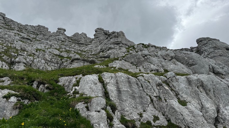 Passo Cima Terrarossa64