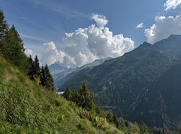 Passo di Campo11