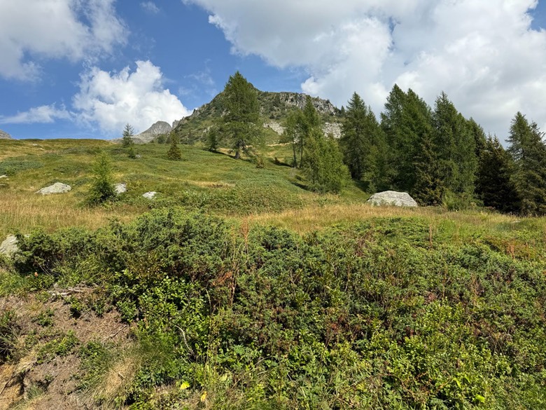 Passo di Campo14