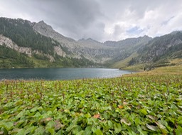 Passo di Campo37