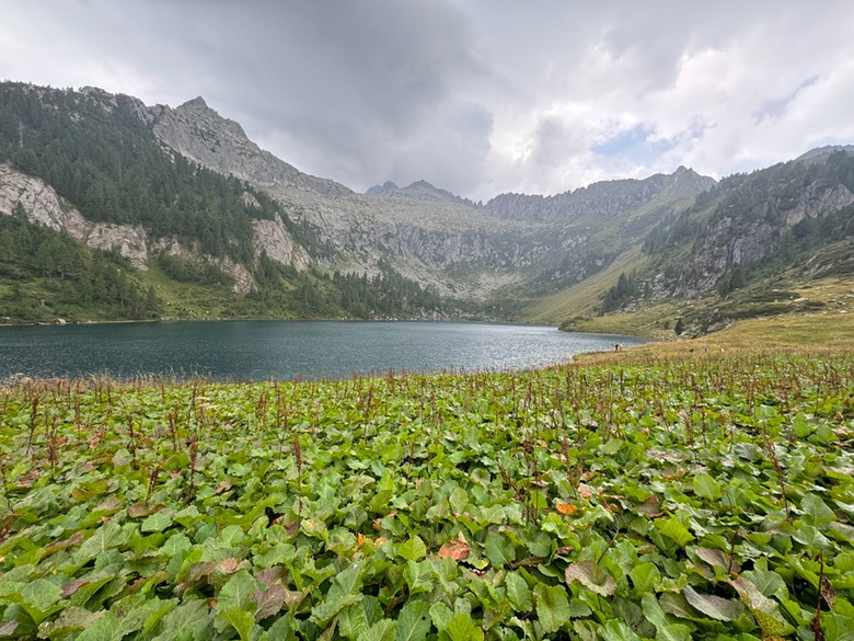 Passo di Campo37