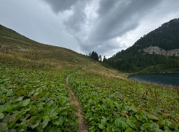 Passo di Campo38