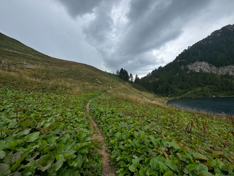 Passo di Campo38