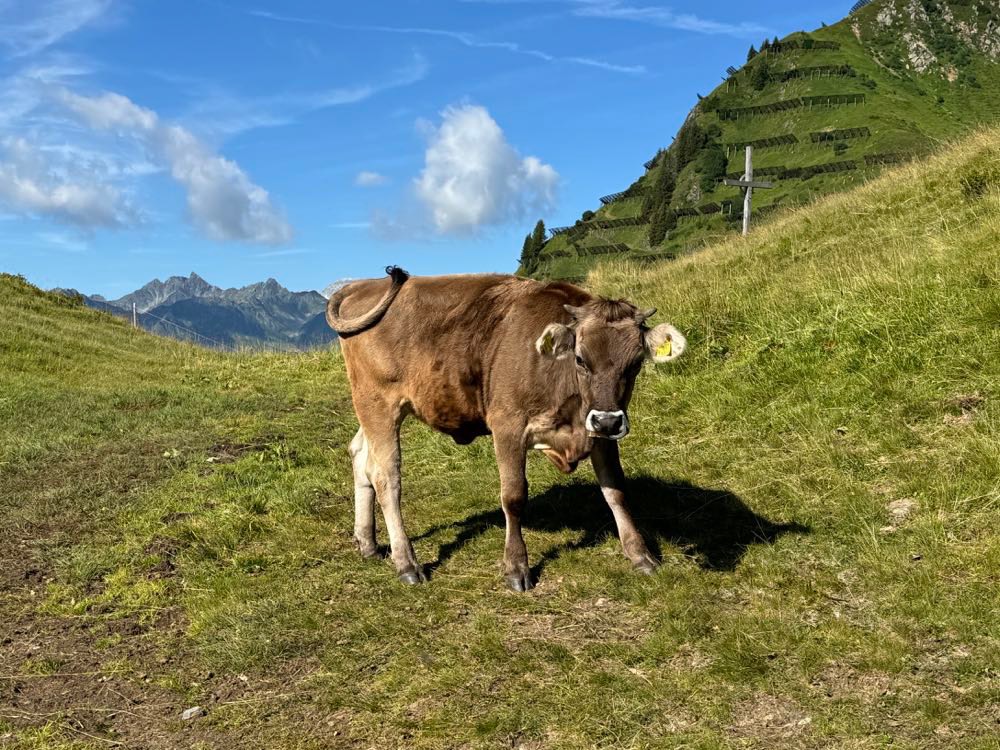  Schmuggerweg003