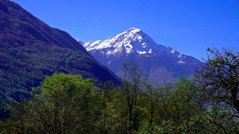 Val Codera A006