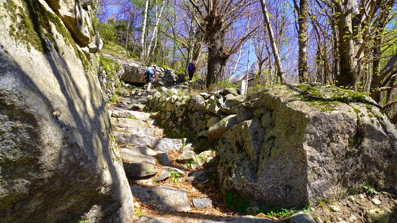 Val Codera A024