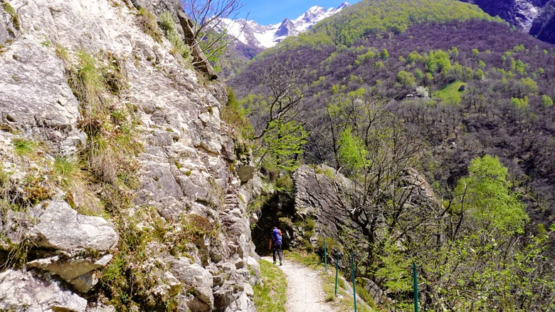 Val Codera A034