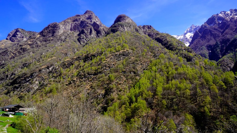 Val Codera A064