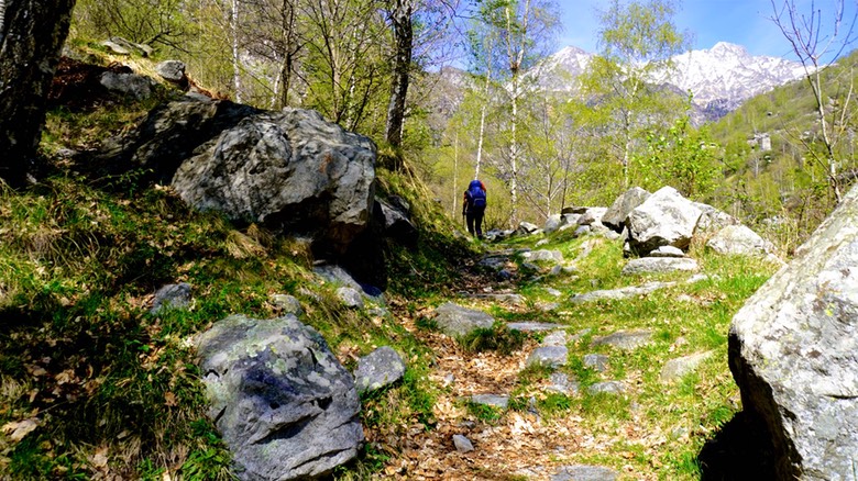 Val Codera A072