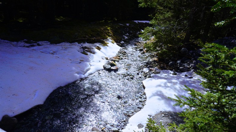 Val Codera A097