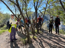 Val Rosandra075