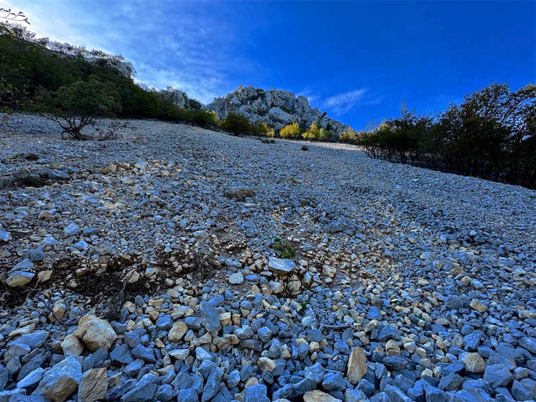 Val Rosandra104