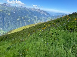 Zamagspitze084